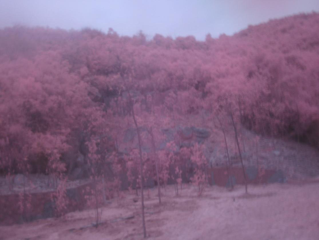 (f)ϟo(w)C(j)͹̂bԲͿ